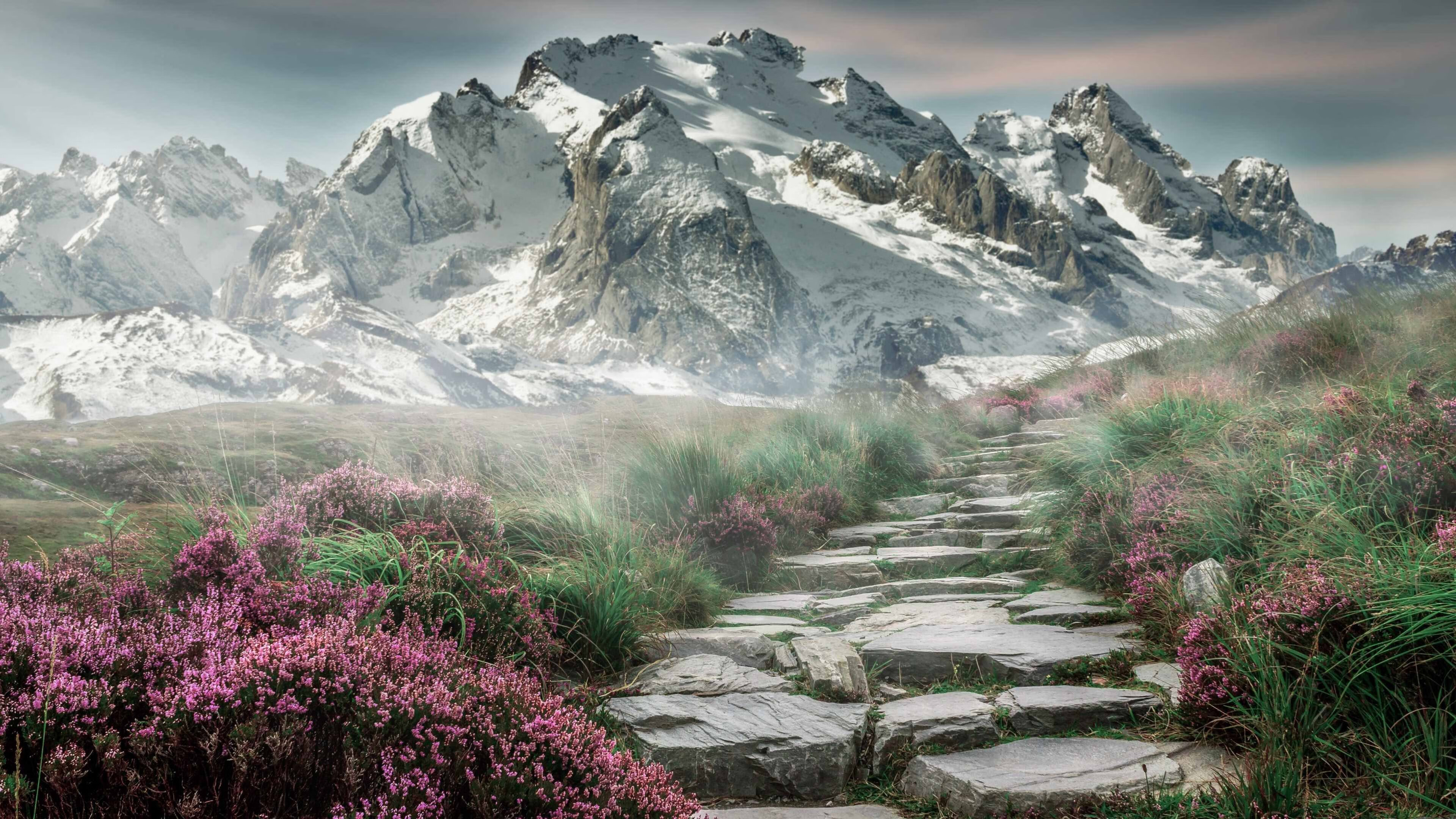 地表最快，当F1极速狂飙撞上步行者的铜墙铁壁