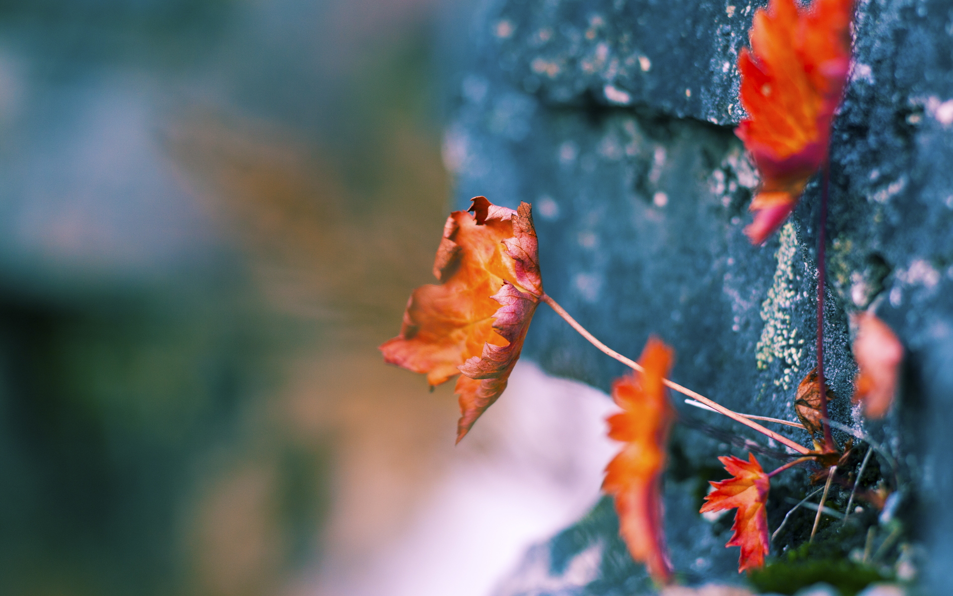 倒下的神与苏醒的巨兽，当字母哥在欧冠决赛之夜贡献制胜表现