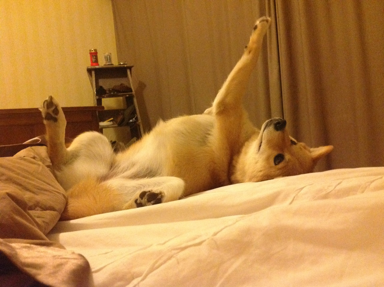 开云体育-伟大有模板，但传奇无副本，当篮球场上的不可复制连番上演