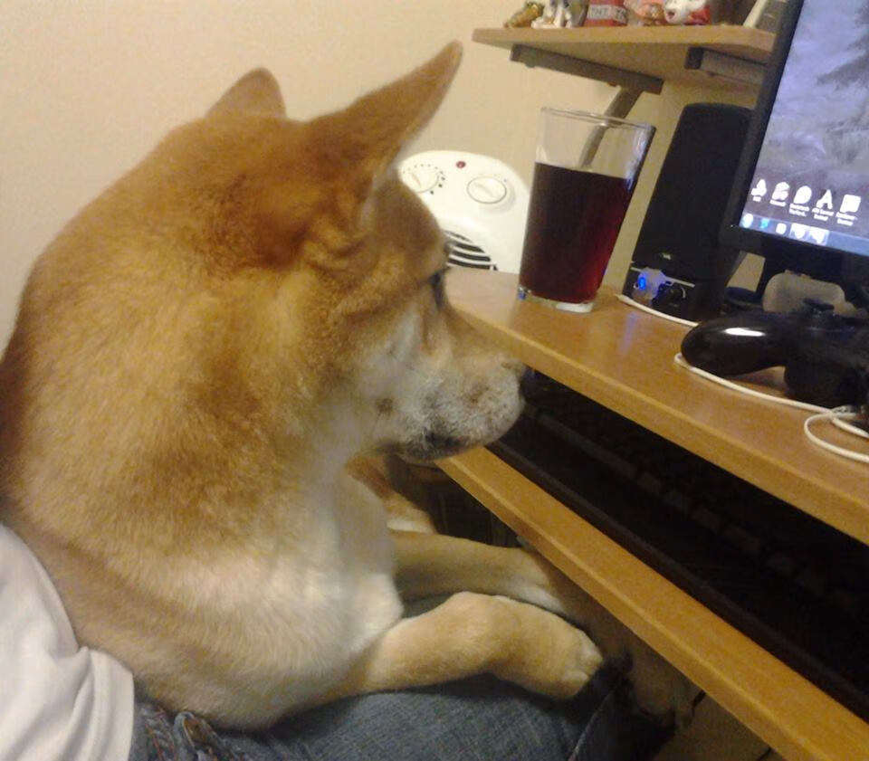 次元碰撞,当步行者的风撕裂北京队的城墙,福克斯露出冷血微笑