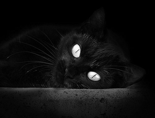 开云体育中国-跨洋对决，广厦鏖战火箭，利拉德西决式接管定乾坤