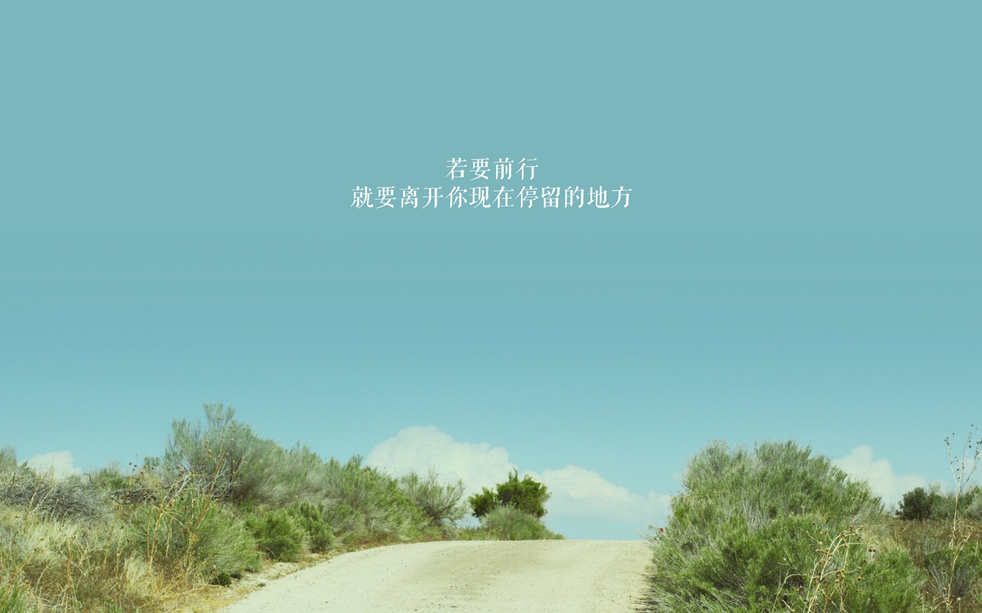 开云体育中国-胜负之间，攻防之魂，罗德里戈如何成为新西兰对阵埃及的核心引擎