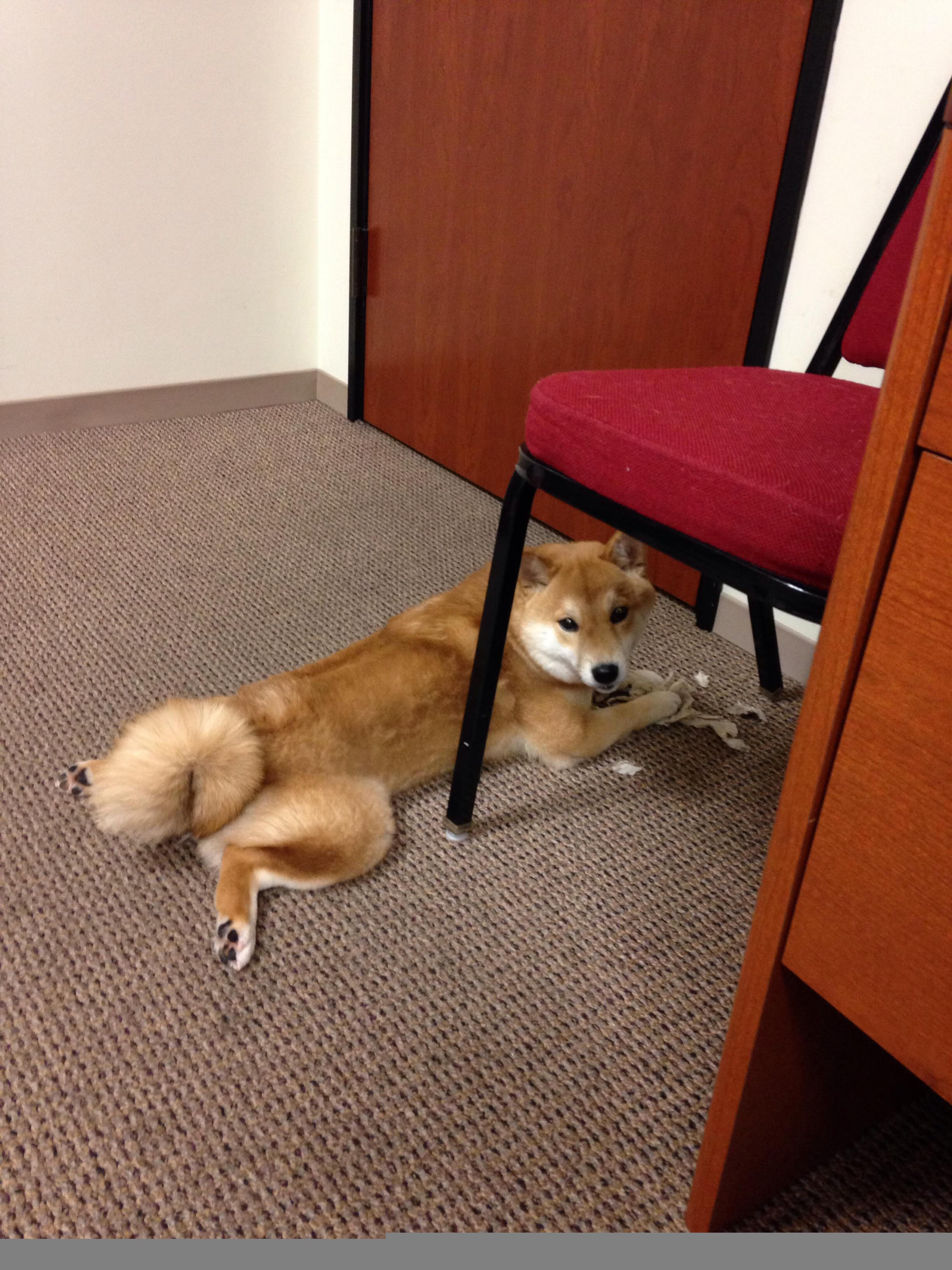 用左脚拉响命运风暴，拉梅洛的半决赛夜，一个足坛新宇宙的诞生点