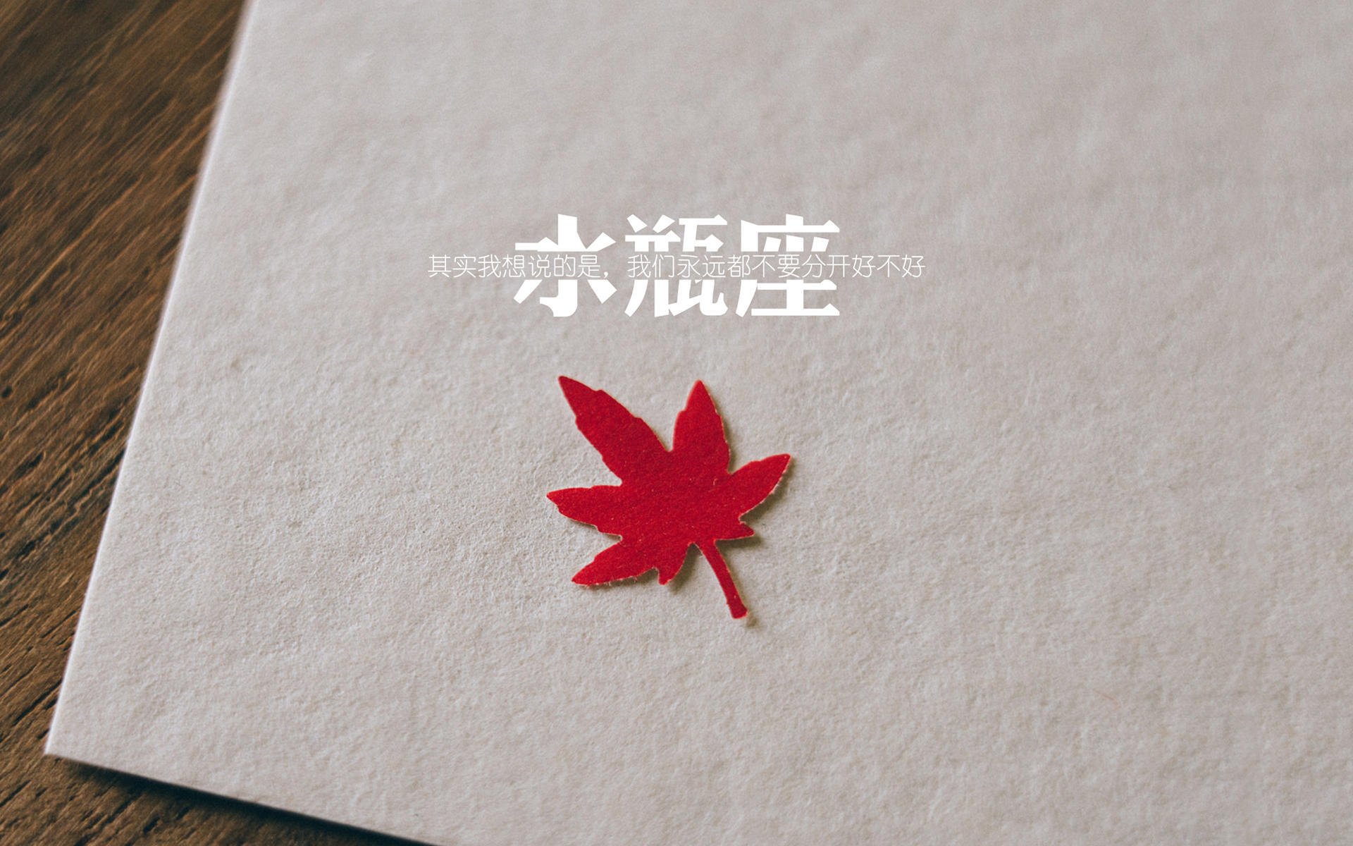沙漠风暴中的蝴蝶效应,当阿联酋在2026年世界杯B组颠覆巴西,福登完成致命一击的隐秘逻辑