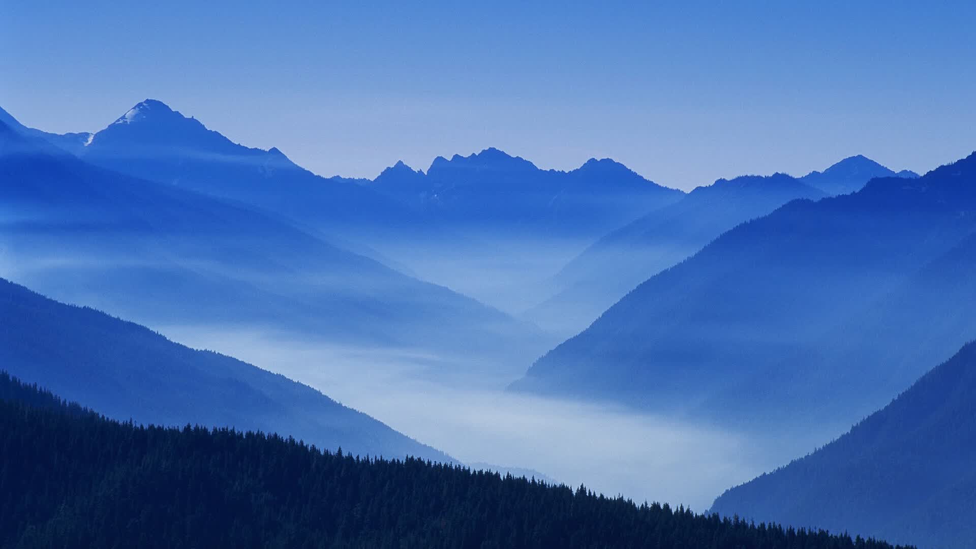 逆转的加纳之夜，穆西亚拉闪耀2026世界杯四分之一决赛，绝杀越南铸就唯一传奇